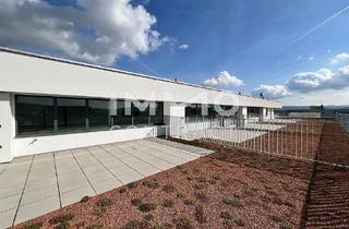 Wohnung kaufen in Bernhardigasse, 3500 Krems an der Donau, 53,21qm 2ZI- Dachgeschosswohnung mit 19,55qm Terrasse, 30qm Gründach, und 14,07qm Balkon