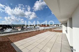 Penthouse kaufen in Bernhardigasse, 3500 Krems an der Donau, 111,21qm 4ZI- PENTHOUSE 33,05qm Terrasse, 71qm Gründach u. 28,58qm Balkon