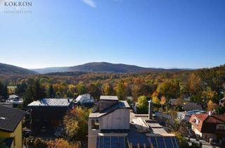 Villen zu kaufen in 1170 Wien, UNIQUE RESIDENCE - Luxusvilla mit Pool und traumhaften Fernblick