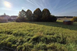Grundstück zu kaufen in 4073 Wilhering, Baugrund ohne Bauverpflichtung Brunngasse