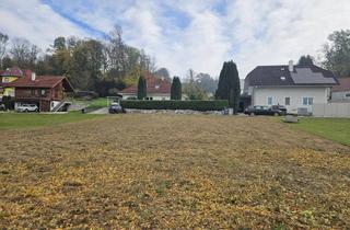 Grundstück zu kaufen in 4073 Wilhering, Baugrund ohne Bauverpflichtung Brunngasse