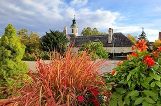Wohnung kaufen in 2344 Maria Enzersdorf, Charmante 2 Zimmer Wohnung mit Balkon und grandiosem Blick
