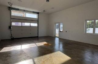 Büro zu mieten in 2500 Baden, Komfortables Büro mit angeschlossener Halle/Lagerfläche, Erstbezug, PV-Anlage!