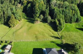Grundstück zu kaufen in 4656 Kirchham, Wald. Wiese. Zukunft. - Ein Grundstück für große Pläne!