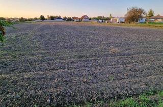 Grundstück zu kaufen in 7162 Tadten, Traumhaftes Baugrundstück