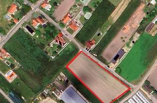 Grundstück zu kaufen in 7162 Tadten, Traumhaftes Baugrundstück in Natioalpark-Gemeinde