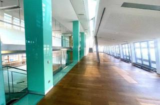 Büro zu mieten in Wipplinger Straße 34/Dg 1, 1010 Wien, Modernes Open Space Dachgeschossbüro mit großer Terrasse m Wiener Börsegebäude zu mieten