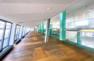 Büro zu mieten in Wipplinger Straße 34/Dg 1, 1010 Wien, Modernes Open Space Dachgeschossbüro mit großer Terrasse m Wiener Börsegebäude zu mieten