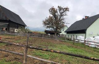 Immobilie kaufen in 8733 Feistritz bei Knittelfeld, Landwirtschaftliche Liegenschaft in 8733 Altendorf