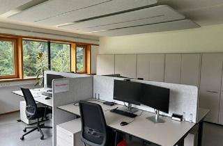 Gewerbeimmobilie mieten in 6861 Alberschwende, Schönes Büro zu vermieten an der L200
