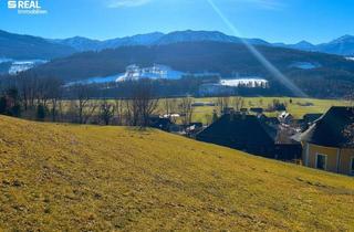 Grundstück zu kaufen in 8954 Sankt Martin am Grimming, Ihr Bauplatz im Grünen! Grundstück in St. Martin am Grimming Ost