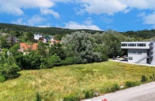 Grundstück zu kaufen in 3013 Pressbaum, Betriebsbaugrund im Ortszentrum Pressbaum/Tullnerbach