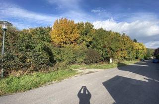 Grundstück zu kaufen in 2384 Breitenfurt bei Wien, Ruhiges, ebenes Grundstück in Breitenfurt direkt