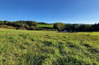 Grundstück zu kaufen in 3040 Neulengbach, EXKLUSIVE BAUGRUNDSTÜCKE IN NEULENGBACH