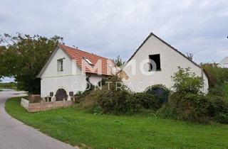 Immobilie kaufen in Kellerring, 7091 Breitenbrunn am Neusiedler See, Historisches Kellerstöckl mit Seeblick und Wohneinheit