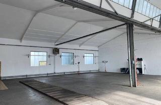 Büro zu mieten in 7423 Pinkafeld, Helle Lagerhalle , 256 m2 und angrenzendes Büro mit 58 m2