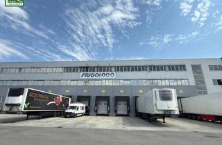 Büro zu mieten in Industriestraße, 2326 Maria-Lanzendorf, Hochwertige Gewerbefläche mit 15 Parkplätzen in 2326 Maria Lanzendorf – Industriestraße: ab sofort verfügbar!