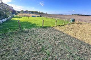  in 2305 Pframa, Idyllisches Freizeitgrundstück in Pframa: 150m² Garten mit Grünblick, nur 450 € pro Jahr Miete!