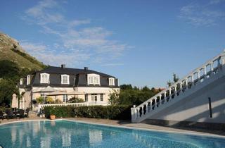 Villen zu kaufen in 2410 Hainburg an der Donau, Herrenhaus Villa - in Hainburg an der Donau - Luxus, Komfort und Raum auf 1.339m²