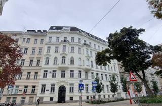 Wohnung mieten in 1060 Wien, klassischer Altbau mit Balkon - Blick in den Park