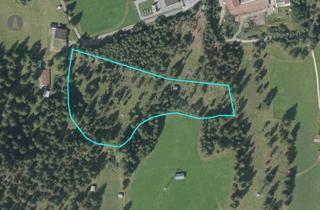 Gewerbeimmobilie kaufen in 6103 Reith bei Seefeld, Eingezäuntes Freilandgrundstück Nähe Seefeld