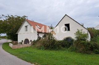 Haus kaufen in 7091 Breitenbrunn am Neusiedler See, Historisches Kellerstöckl mit Seeblick und Wohneinheit