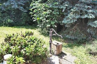 Haus kaufen in 7332 Kobersdorf, Bungalow in Kobersdorf: 5 Zimmer, Terrasse und viel Grün