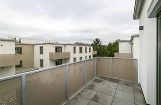 Wohnung mieten in Bahnsiedlung 185, 2013 Großstelzendorf, Wunderschöne Erstbezugswohnung mit Balkon