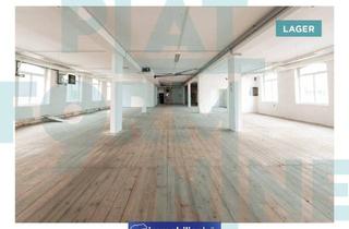 Büro zu mieten in Gärnterstraße, 4600 Wels, PLATFORM 9 - Business Rohdiamanten - LAGER neben Hauptbahnhof Wels