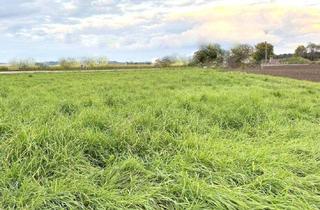 Grundstück zu kaufen in 8454 Arnfels, Sechs ruhige Baugrundstücke in idyllischer Siedlungslage in Arnfels Für Naturliebhaber, Familien und Investoren – jetzt zugreifen!