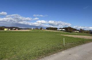 Grundstück zu kaufen in 4320 Pergkirchen, Besonderes Grundstück in Pergkirchen