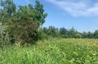  in 0 0, 8490 Bad Radkersburg, Gewerbegrundstück in Toplage an der B69 – Bad Radkersburg | 3.700 m²