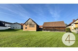 Haus kaufen in 3763 Japons, bezugsfertiges Haus mit viel Platz - zum Schnäppchenpreis