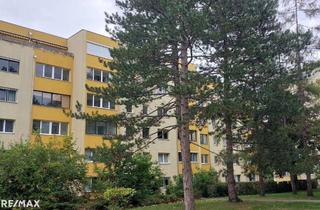 Wohnung kaufen in 2500 Baden, Schöne 2 Zimmer Wohnung mit Lift - Investment oder selber wohnen (dzt. vermietet!)