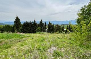 Grundstück zu kaufen in 9220 Velden am Wörther See, ENTSPANNEN UND GENIEßEN ? IN DER NATUR BEI VELDEN!