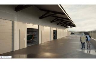 Gewerbeimmobilie mieten in 4300 Sankt Valentin, neue lagerboxen mit ca.52 m²
