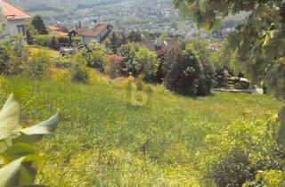 Grundstück zu kaufen in 3400 Klosterneuburg, TRAUMGRUND IN SÜDLAGE MIT HERRLICHEM WEITBLICK