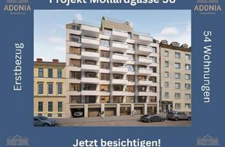 Wohnung mieten in Mollardgasse, 1060 Wien, ++MOLLARD 50++ hochwertige 2-Zimmer-Wohnung mitten im Herzen der Stadt (3/6)