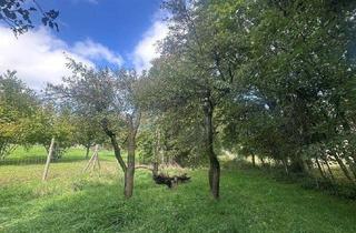 Grundstück zu kaufen in 2202 Enzersfeld im Weinviertel, Hagenbrunn im Speckgürtel Wiens - Großzügiges Baugrundstück mit ca 2500m²