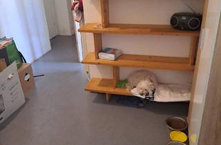 Wohnung mieten in Graf-Starhemberg-Gasse 40-42/1, 1040 Wien, Gemeinde Wohnung gültiger wohnticket bis 31.4.2025