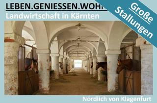 Bauernhäuser zu kaufen in 9020 Klagenfurt, LANDWIRTSCHAFT IN KÄRNTEN MIT GROSSEN STALLUNGEN