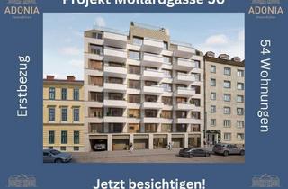 Wohnung mieten in Mariahilfer Straße 6, 1060 Wien, ++MOLLARD 50++ hochwertige 2-Zimmer-Wohnung mitten im Herzen der Stadt (3/6)