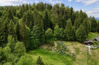 Grundstück zu kaufen in 9201 Krumpendorf, TRAUMHAFTES BAUGRUNDSTÜCK IN KRUMPENDORF AM WÖRTHERSEE – 2069 M² FÜR IHR EIGENHEIM!