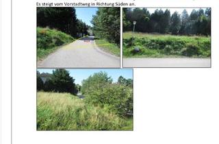 Grundstück zu kaufen in Vorstadtweg, 2821 Walpersbach, Bauplatz