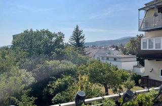 Wohnung mieten in Hauptstraße 37, 2340 Mödling, Gemütliche Wohnung mit schöner Terrasse in zentraler Ruhelage