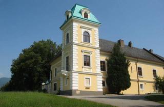 Wohnung mieten in 4816 Gschwandt, Wohnen im Schloss in Gschwandt