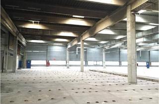 Büro zu mieten in 2514 Traiskirchen, Gewerbepark Traiskirchen - flexible Flächengestaltung | anmietbar ab ca. 600 m²