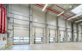 Büro zu mieten in 2460 Bruck an der Leitha, Logistik- und Industriepark nahe A4