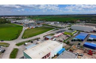 in Haidhofstraße 146, 2500 Baden, Zu Vermieten: Gewerbehalle mit Schauraum und Dachterasse