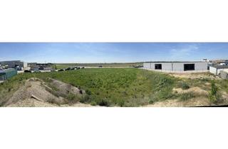 in 2282 Markgrafneusiedl, Gewerbliches Eck-Grundstück in Markgrafneusiedl - direkt zur Grenze bei Strasshof